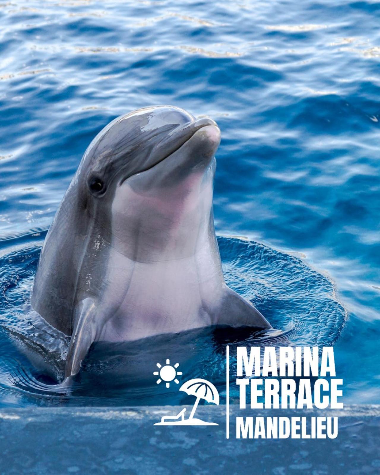Marina Terrace
