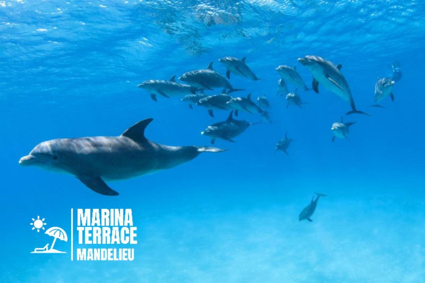 Apartamento Marina Terrace