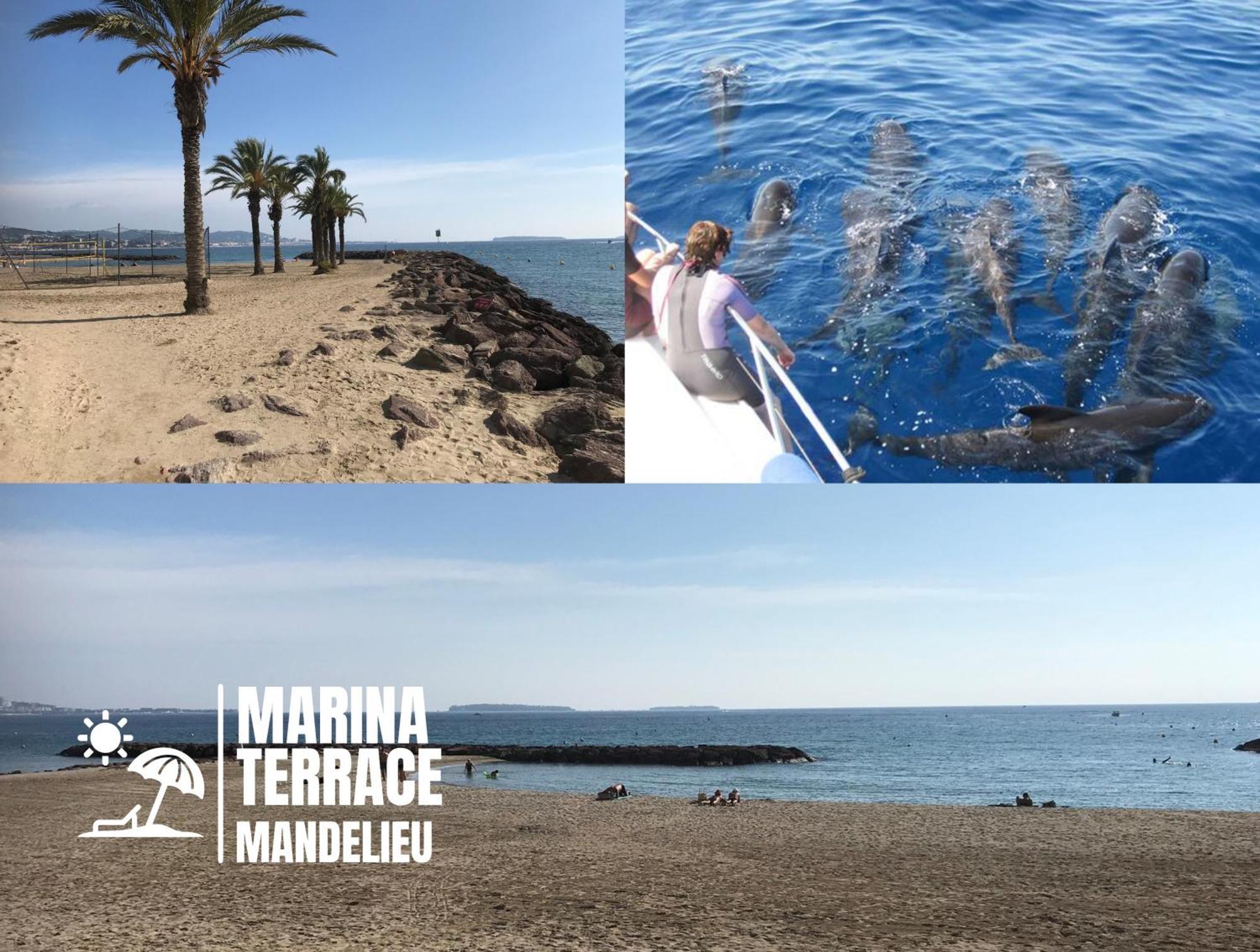 Marina Terrace Mandelieu-la-Napoule